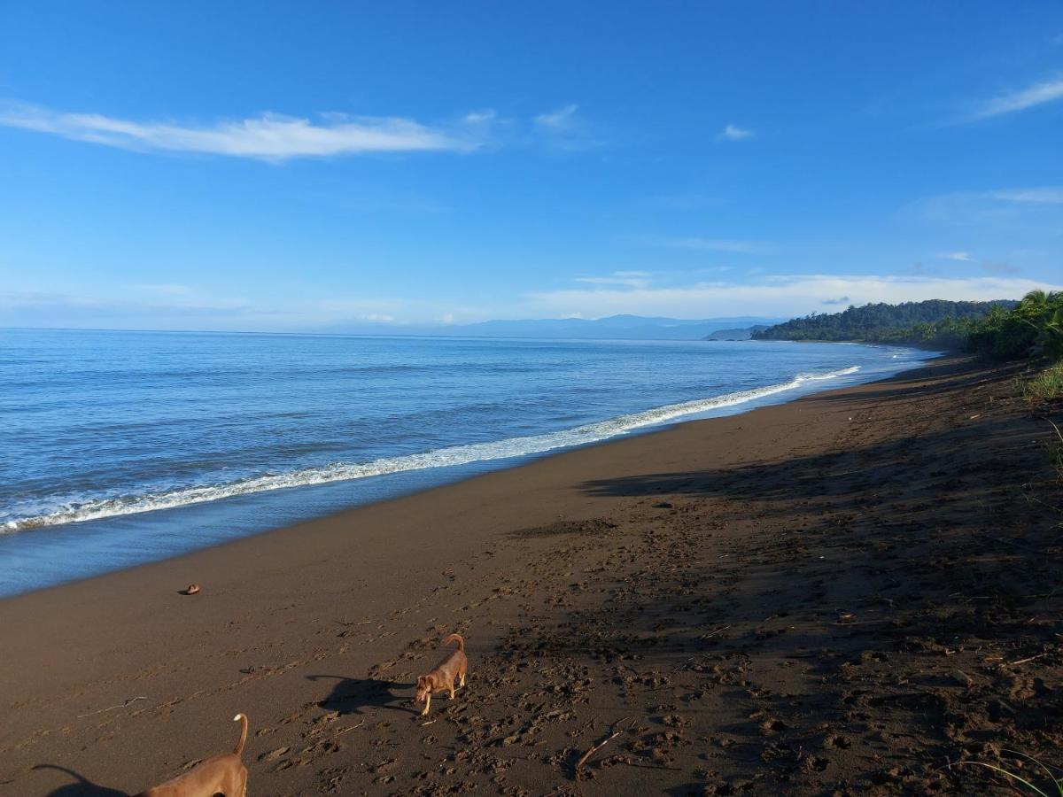 Hotel Gitana Corcovado, Y Tour Operador Drakes Bay Exterior foto